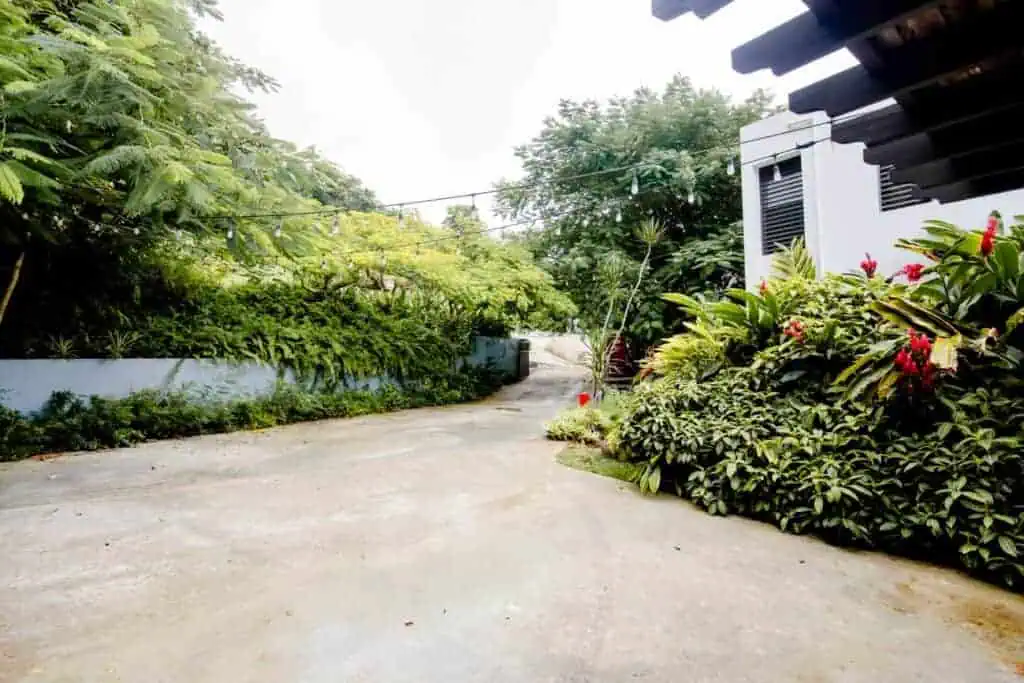 Serene garden path with tropical plants and flowers in Casa Encanto PR.