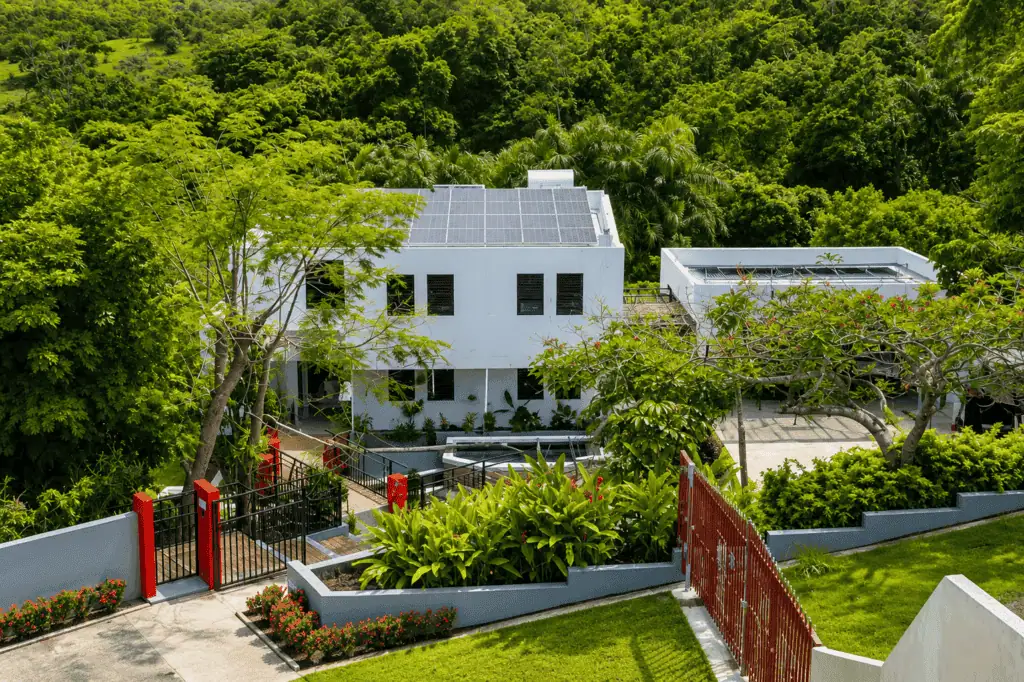 Contemporary white house surrounded by lush greenery and trees.